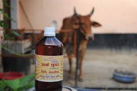 Cow Urine